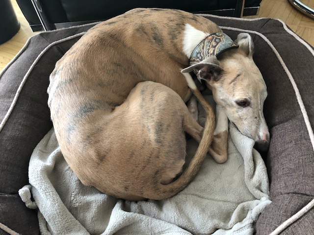 Emil - alles bestens